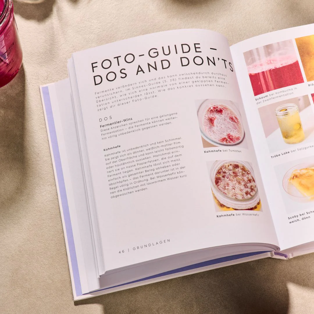 Buch Fermentieren - Twist your Taste - Image 3