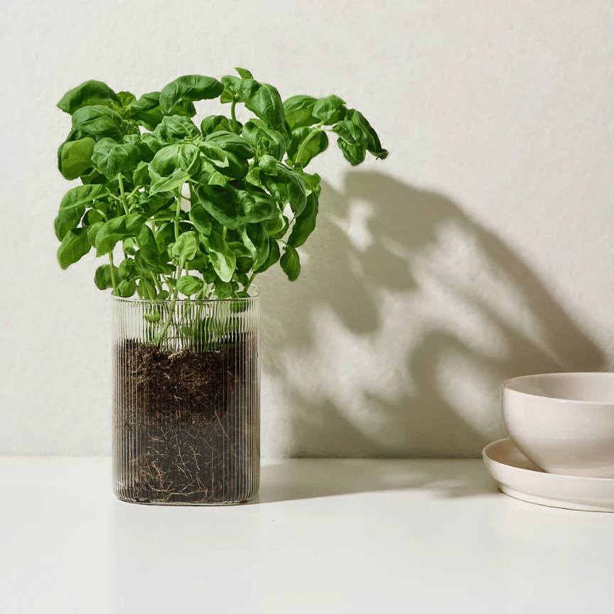 Ripple Vorratsglas Eckig | 1 L - Image 3